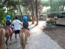 Cliquez pour découvrir toutes les photos de l'ÉTABLISSEMENT ! camping Village Il Sole photo 6