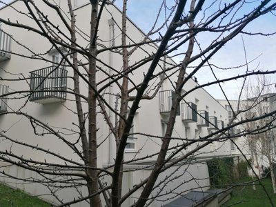 Cliquez pour découvrir toutes les photos de l'ÉTABLISSEMENT ! camping Appart'Hôtel Quimper photo 24