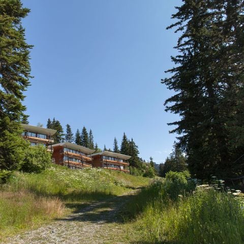 Cliquez pour découvrir toutes les photos de l'ÉTABLISSEMENT ! établissement Les Villages Du Bachat photo 2