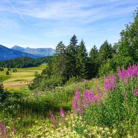 Cliquez pour découvrir toutes les photos de l'ÉTABLISSEMENT ! établissement Les Villages Du Bachat photo 3