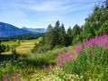 Cliquez pour découvrir toutes les photos de l'ÉTABLISSEMENT ! établissement Les Villages Du Bachat photo 3
