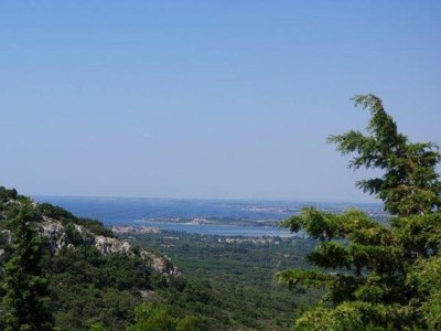Cliquez pour découvrir toutes les photos de l'ÉTABLISSEMENT ! village vacances VVF Villages - Le Clos Des Cigales - Montagnac photo 22