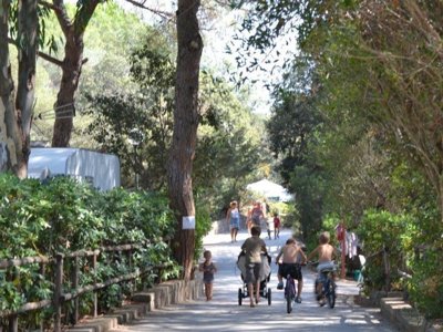 Cliquez pour découvrir toutes les photos de l'ÉTABLISSEMENT ! camping Village Santapomata photo 12