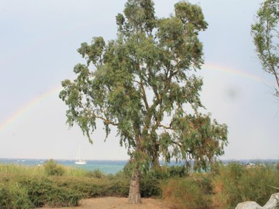 camping Villaggio Marinello photo 28