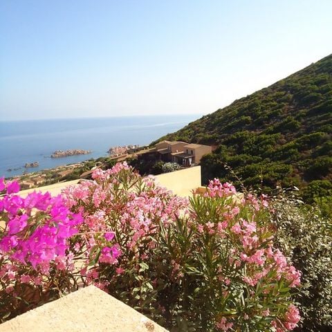 Cliquez pour découvrir toutes les photos de l'ÉTABLISSEMENT ! établissement Villaggio Costa Rosa photo 5