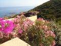 Cliquez pour découvrir toutes les photos de l'ÉTABLISSEMENT ! établissement Villaggio Costa Rosa photo 5