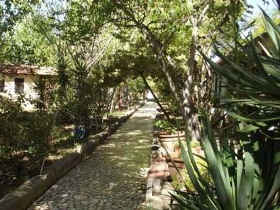 camping Sos Flores Village photo 9