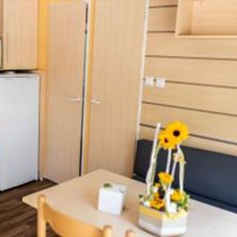 Cliquez pour découvrir toutes les photos de l'HÉBERGEMENT ! mobilhome - Les Acacias photo 2