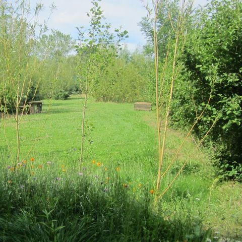Cliquez pour découvrir toutes les photos de l'ÉTABLISSEMENT ! établissement L'Oseraie Les Philiberts photo 2