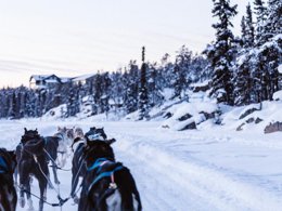 Camping Pas Cher vous présente avec son site Officiel campingpascher.fr, la Résidence Les Balcons D'Aix - Vacancéole classé 2 étoiles, située sur la commune de Les Deserts dans le département Savoie (Rhône Alpes) en France. La résidence Les Balcons D'Aix - Vacancéole, vous présente un hébergement de type chambre de 25 m² pour 2 personnes et télévision. La résidence Les Balcons D'Aix - Vacancéole vous propose du dimanche 30 août au dimanche 06 septembre 2026, en promotion à -29% pour 7 nuits à 385,90 € au lieu de 546,99 € soit une Économie de 161,09 €. Cette location propose 104 dates différentes pour réserver votre séjour. Découvrez également les 10 autres gammes d'hébergements de la résidence. Les Avis clients pour la Résidence Les Balcons D'Aix - Vacancéole sont excellents avec une note moyenne de 8 sur 10. Lac, Piscine chauffée, Piscine couverte, Baby-foot, Centre équestre, Piscine, Randonnée, Voile,... En savoir plus : cliquez-ICI.
