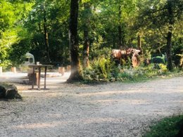 Camping Pas Cher vous présente avec son site Officiel campingpascher.fr, le Camping Le Pech Charmant classé 4 étoiles, situé sur la commune de Les Eyzies De Tayac Sireuil dans le département Dordogne (Aquitaine) en France. Le camping Le Pech Charmant, vous présente un hébergement de type tente en toile et bois de 53 m² pour 5 personnes. Le camping Le Pech Charmant vous propose du mardi 07 avril au mardi 14 avril 2026 pour 7 nuits à 312€. Cette location propose 114 dates différentes pour réserver votre séjour. Découvrez également les 12 autres gammes d'hébergements du camping. Les Avis clients pour le Camping Le Pech Charmant sont excellents avec une note moyenne de 10 sur 10. Bassin enfant, Piscine extérieure, Animation enfants, Animations familiales, Aire de jeux enfants, Centre équestre, Ping-pong, Pétanque, Randonnée, Terrain de football, Terrain de volley-ball, Terrain multisports, Bar, Brasserie, Dépôt de pain, Restaurant,... En savoir plus : cliquez-ICI.