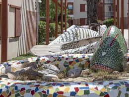 Camping Pas Cher vous présente avec son site Officiel campingpascher.fr, la Résidence Les Demeures De La Massane - Vacancéole classé 3 étoiles, située sur la commune de Argelès-sur-mer dans le département Pyrénées-orientales (Languedoc Roussillon) en France. La résidence Les Demeures De La Massane - Vacancéole, vous présente un hébergement de type studio de 20 m² et télévision. La résidence Les Demeures De La Massane - Vacancéole vous propose du sam. 26 septembre au sam. 03 octobre 2026, en promotion à -29% pour 7 nuits à 234,60 € au lieu de 332,53 € soit une Économie de 97,93 €. Cette location propose 157 dates différentes pour réserver votre séjour. Découvrez également les 13 autres gammes d'hébergements de la résidence. Les Avis clients pour la Résidence Les Demeures De La Massane - Vacancéole sont excellents avec une note moyenne de 8 sur 10. Piscine extérieure, Animation enfants, Animations familiales, Club enfants, Aire de jeux enfants, Canoë-kayak, Cyclisme, Planche à voile, Plongée, Pétanque, Randonnée, Salle de fitness, Dépôt de pain, Snack/Bar,... En savoir plus : cliquez-ICI.