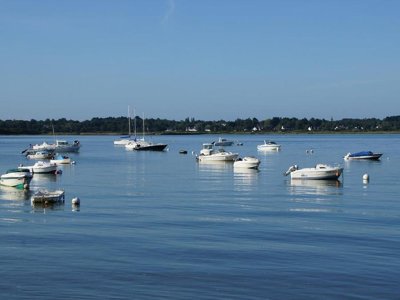 Cliquez pour découvrir toutes les photos de l'ÉTABLISSEMENT ! camping De La Baie photo 29