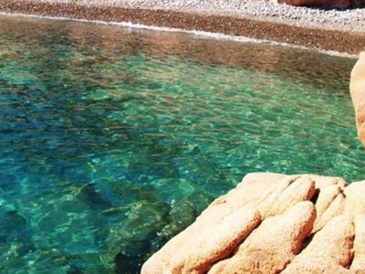Cliquez pour découvrir toutes les photos de l'ÉTABLISSEMENT ! camping Coccorrocci photo 11