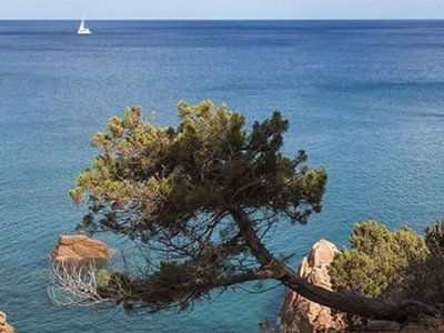 Cliquez pour découvrir toutes les photos de l'ÉTABLISSEMENT ! camping Coccorrocci photo 7