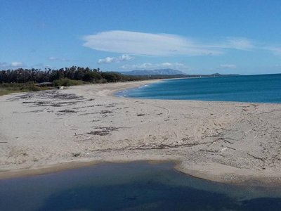 Cliquez pour découvrir toutes les photos de l'ÉTABLISSEMENT ! camping Coccorrocci photo 8