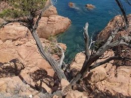 Camping Pas Cher vous présente avec son site Officiel campingpascher.fr, le Camping Coccorrocci, situé sur la commune de Marina Di Gairo dans le département Nuoro (Sardaigne) en Italie. Le camping Coccorrocci vous propose un hébergement de type bungalow de 20 m² pour 2 personnes avec climatisation. L'établissement vous propose 4 autres types d'hébergements. Découvrez tous nos séjours à petits prix dans la commune et aux alentours de Marina Di Gairo du département : Nuoro (Sardaigne). Piscine extérieure, Aire de jeux enfants, Centre équestre, Bar, Pizzeria,... En savoir plus : cliquez-ICI.