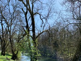 Camping Pas Cher vous présente avec son site Officiel campingpascher.fr, le Camping La Saline classé 3 étoiles, situé sur la commune de Arc Et Senans dans le département Doubs (Franche Comté) en France. Le camping La Saline, vous présente un hébergement de type mobil-home de 30 m². Le camping La Saline vous propose du sam. 02 mai au sam. 09 mai 2026 pour 7 nuits à 450€. Cette location propose 14 dates différentes pour réserver votre séjour. Découvrez également les 15 autres gammes d'hébergements du camping. Les Avis clients pour le Camping La Saline sont excellents avec une note moyenne de 8 sur 10. Rivière, Piscine chauffée, Piscine extérieure, Aire de jeux enfants, Canoë-kayak, Cyclisme, Paddle, Pétanque, Randonnée, Bar, Dépôt de pain, Plats à emporter, Snack/Bar,... En savoir plus : cliquez-ICI.