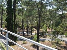 Camping Pas Cher vous présente avec son site Officiel campingpascher.fr, le Village vacances Village Vacances De Carcans-Maubuisson Les Dunes classé 3 étoiles, situé sur la commune de Carcans dans le département Gironde (Aquitaine) en France. Le village vacances Village Vacances De Carcans-Maubuisson Les Dunes vous propose un hébergement de type chambre de 35 m² pour 2 personnes (télévision). L'établissement vous propose 7 autres types d'hébergements. Découvrez tous nos séjours à petits prix dans la commune et aux alentours de Carcans du département : Gironde (Aquitaine). Les Avis clients pour le Village vacances Village Vacances De Carcans-Maubuisson Les Dunes sont de 7 sur 10. Piscine chauffée, Piscine couverte, Animations familiales, Club ados, Club enfants, Aire de jeux enfants, Canoë-kayak, Court de tennis, Cyclisme, Ping-pong, Planche à voile, Pédalo, Pétanque, Randonnée, Surf, Bar, Plats à emporter, Restaurant, Épicerie,... En savoir plus : cliquez-ICI.