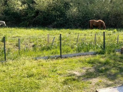 Cliquez pour découvrir toutes les photos de l'ÉTABLISSEMENT ! camping Ecolodges Domaine De La Forêt photo 12