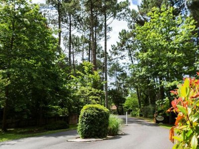 Cliquez pour découvrir toutes les photos de l'ÉTABLISSEMENT ! résidence Madame Vacances - Villas La Clairière Aux Chevreuils photo 11