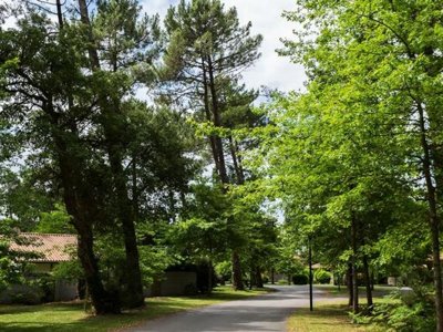 Cliquez pour découvrir toutes les photos de l'ÉTABLISSEMENT ! résidence Madame Vacances - Villas La Clairière Aux Chevreuils photo 12