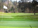 Cliquez pour découvrir toutes les photos de l'ÉTABLISSEMENT ! résidence Les Palmiers Du Golf photo 11
