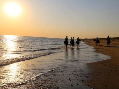 Cliquez pour découvrir toutes les photos de l'ÉTABLISSEMENT ! résidence Madame Vacances - Les Mas De Saint Hilaire photo 12