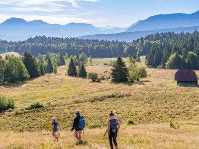 Cliquez pour découvrir toutes les photos de l'ÉTABLISSEMENT ! résidence Madame Vacances - Les Chalets Du Berger photo 11
