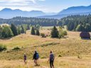 Cliquez pour découvrir toutes les photos de l'ÉTABLISSEMENT ! résidence Madame Vacances - Les Chalets Du Berger photo 11