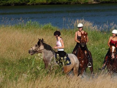 Cliquez pour découvrir toutes les photos de l'ÉTABLISSEMENT ! résidence Madame Vacances- Les Cottages De Valjoly photo 11