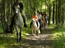 Cliquez pour découvrir toutes les photos de l'ÉTABLISSEMENT ! résidence Madame Vacances- Les Cottages De Valjoly photo 8