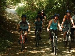 Camping Pas Cher vous présente avec son site Officiel campingpascher.fr, la Résidence Les Cottages De Valjoly classé 3 étoiles, située sur la commune de Valjoly dans le département Nord (Nord Pas De Calais) en France. La résidence Les Cottages De Valjoly, vous présente un hébergement de type maison de 25 m² et télévision. La résidence Les Cottages De Valjoly vous proposeun séjour PAS CHER avec une REMISEdu vendredi 19 décembre au vendredi 26 décembre 2025, en promotion à -45% pour 7 nuits à 340,45 € au lieu de 619,0 € soit une Économie de 278,55 €. Cette location propose 272 dates différentes pour réserver votre séjour. Découvrez également les 5 autres gammes d'hébergements de la résidence. Les Avis clients pour la Résidence Les Cottages De Valjoly sont excellents avec une note moyenne de 8 sur 10. Lac, Piscine couverte, Piscine extérieure, Canoë-kayak, Centre équestre, Cyclisme, Golf, Planche à voile, Pédalo, Trampoline, Voile, Bar, Supermarché,... En savoir plus : cliquez-ICI.