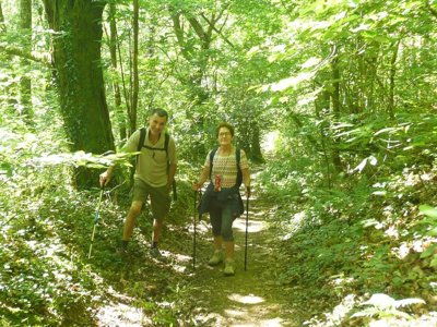 Cliquez pour découvrir toutes les photos de l'ÉTABLISSEMENT ! résidence La Marquisié photo 23