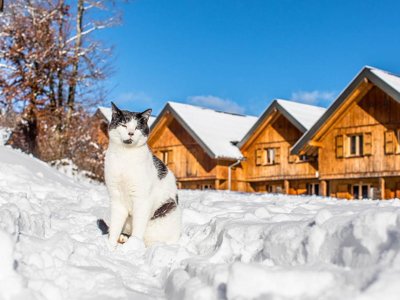 Cliquez pour découvrir toutes les photos de l'ÉTABLISSEMENT ! résidence Madame Vacances - Les Chalets Du Berger Premium photo 12