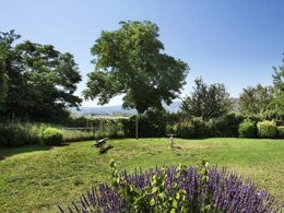 Camping Pas Cher vous présente avec son site Officiel campingpascher.fr, la Résidence Odalys Essentielle Les 4 Soleils, située sur la commune de Bonnieux dans le département Vaucluse (Provence Alpes Côte D'azur) en France. La résidence Odalys Essentielle Les 4 Soleils, vous présente un hébergement de type appartement de 43 m² et télévision. La résidence Odalys Essentielle Les 4 Soleils vous propose du sam. 26 septembre au sam. 03 octobre 2026 pour 7 nuits à 419€. Cette location propose 25 dates différentes pour réserver votre séjour. Découvrez également les 3 autres gammes d'hébergements de la résidence. Piscine chauffée, Piscine extérieure, Centre équestre, Supermarché,... En savoir plus : cliquez-ICI.