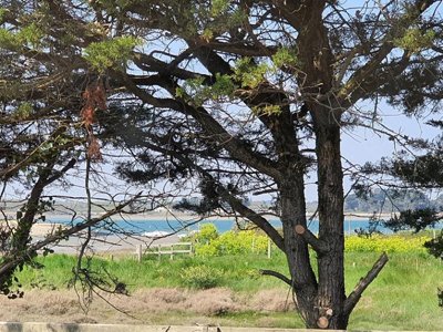 camping De La Presqu'île De Pénerf photo 14
