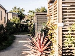 Camping Pas Cher vous présente avec son site Officiel campingpascher.fr, le Camping Romanée - Le Cormoran classé 5 étoiles, situé sur la commune de Ars En Ré dans le département Charente-maritime (Poitou Charentes) en France. Le camping Romanée - Le Cormoran vous propose un hébergement de type mobil-home avec climatisation (télévision). L'établissement vous propose 7 autres types d'hébergements. Découvrez tous nos séjours à petits prix dans la commune et aux alentours de Ars En Ré du département : Charente-maritime (Poitou Charentes). Les Avis clients pour le Camping Romanée - Le Cormoran sont excellents avec une note moyenne de 8 sur 10. Piscine chauffée, Piscine extérieure, Animations familiales, Club ados, Club enfants, Aire de jeux enfants, Canoë-kayak, Court de tennis, Golf, Paddle, Planche à voile, Pétanque, Salle de fitness, Terrain multisports, Bar, Boulangerie, Dépôt de pain, Plats à emporter, Restaurant, Snack/Bar, Station-service, Supermarché, Épicerie,... En savoir plus : cliquez-ICI.