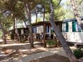 Cliquez pour découvrir toutes les photos de l'HÉBERGEMENT ! mobilhome - établissement Santa Maria Di Leuca photo 1