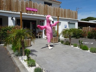 Cliquez pour découvrir toutes les photos de l'ÉTABLISSEMENT ! camping Les Flamants Roses photo 12