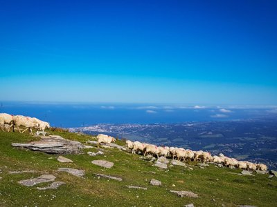 Cliquez pour découvrir toutes les photos de l'ÉTABLISSEMENT ! établissement Fram Club Le Ruisseau photo 19