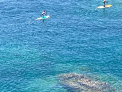 Cliquez pour découvrir toutes les photos de l'ÉTABLISSEMENT ! camping Lloret Blau photo 25