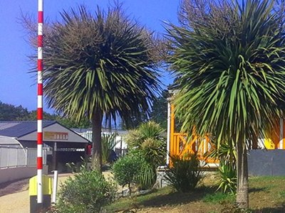Cliquez pour découvrir toutes les photos de l'ÉTABLISSEMENT ! camping Prad'Héol photo 17