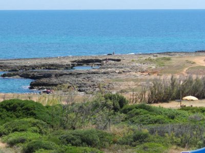 Cliquez pour découvrir toutes les photos de l'ÉTABLISSEMENT ! camping Village Lamaforca photo 25