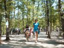 établissement Orlando In Chianti Glamping Resort photo 10