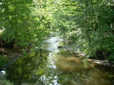 camping Municipal La Rivière - Donzenac photo 10
