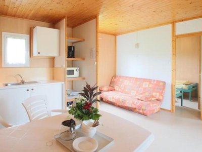 chalet - Municipal La Rivière - Donzenac photo 4