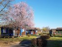Camping Pas Cher vous présente avec son site Officiel campingpascher.fr, le Camping Municipal La Rivière - Donzenac classé 3 étoiles, situé sur la commune de Donzenac dans le département Corrèze (Limousin) en France. Le camping Municipal La Rivière - Donzenac, vous présente un hébergement de type chalet de 22 m² et télévision. Le camping Municipal La Rivière - Donzenac vous propose du lundi 28 septembre au lundi 05 octobre 2026 pour 7 nuits à 220€. Cette location propose 139 dates différentes pour réserver votre séjour. Découvrez également les 4 autres gammes d'hébergements du camping. Les Avis clients pour le Camping Municipal La Rivière - Donzenac sont excellents avec une note moyenne de 8 sur 10. Lac, Aire de jeux enfants, Ping-pong, Pétanque, Randonnée, Dépôt de pain,... En savoir plus : cliquez-ICI.