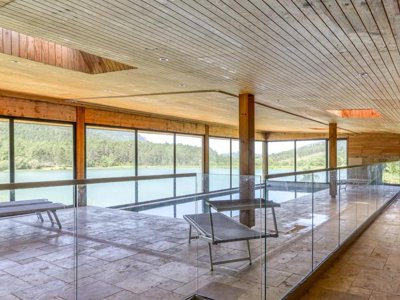 camping Flower Innature photo 11