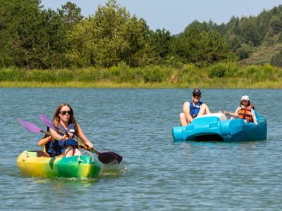 camping Flower Innature photo 14